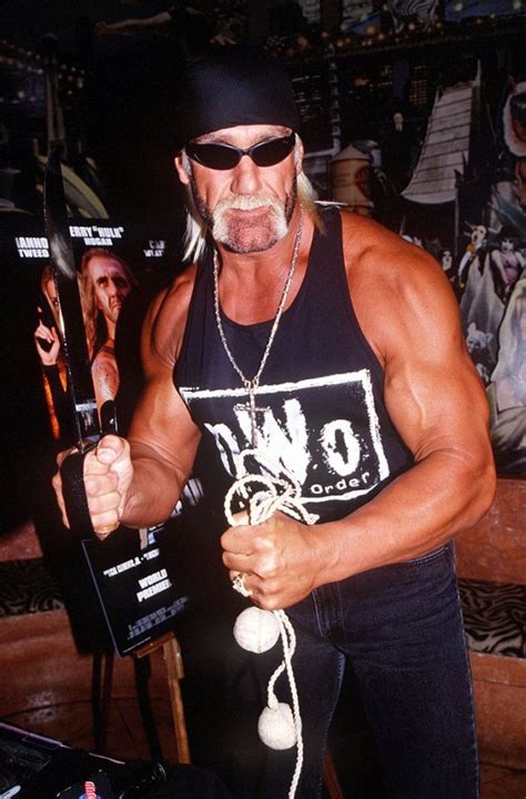 Hollywood Hulk Hogan Collectible WCW/NWO Photos 4X6 ...