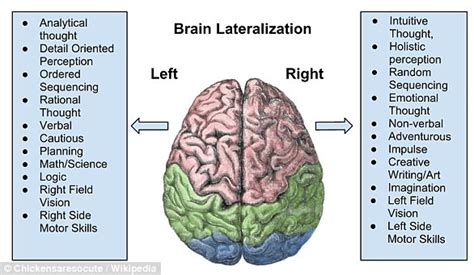 Left handedness makes you more likely to be good at maths | Daily Mail ...