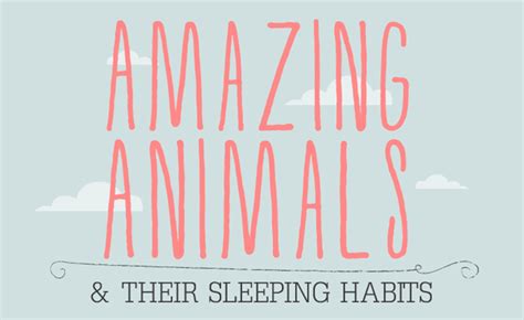 Surprising Facts About How Animals Sleep (Infographic)