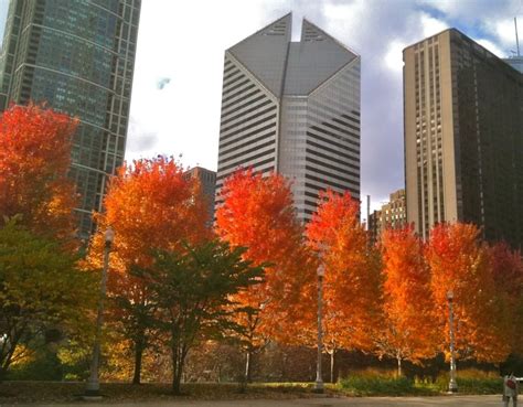 Autumn in Chicago | Date ideas chicago, Chicago history, Fall city