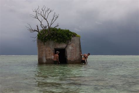 Palmyra Atoll Pictures: Part of the World's Largest Marine Reserve