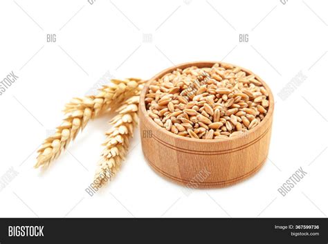 Spikelets Wheat Wheat Image & Photo (Free Trial) | Bigstock