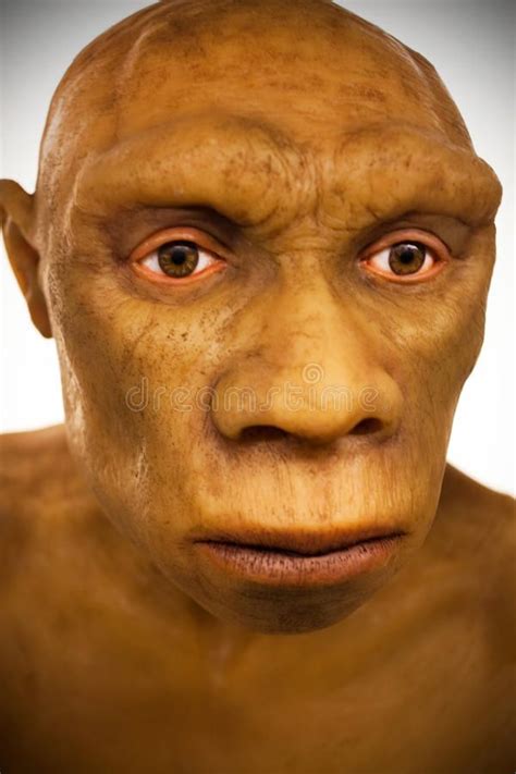 Caveman Model. This is a model of the face of a caveman reconstructed by America , #Affiliate, # ...