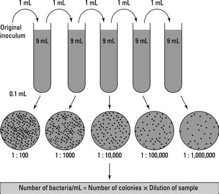 How to Count the Number of Cells - dummies