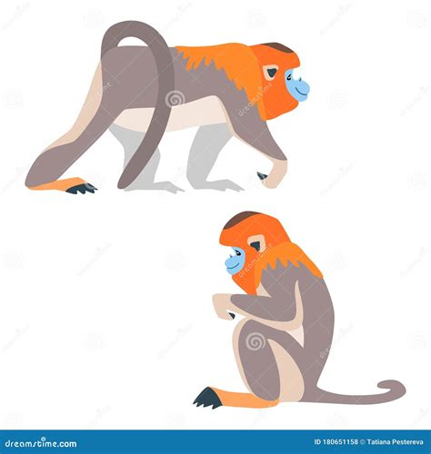Two Golden Snubnosed Monkeys Stock Vector - Illustration of logo, forest: 180651158