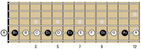 Sharp and Flat Notes on Guitar — Guitar Music Theory Lessons by Ry Naylor