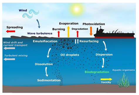 Bp Oil Spill Diagram