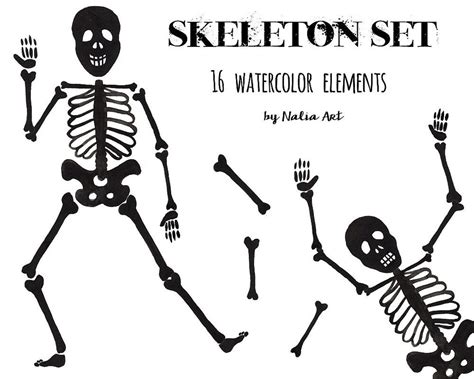 Halloween Skeleton, Bone, Bones, Handpainted Watercolor, Digital ...