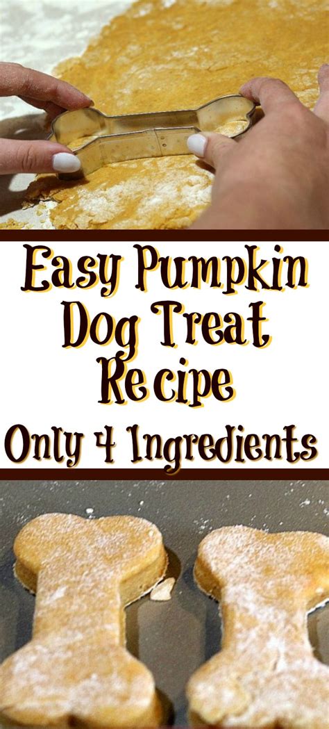 Easy Homemade Pumpkin Dog Treats Recipes | Besto Blog