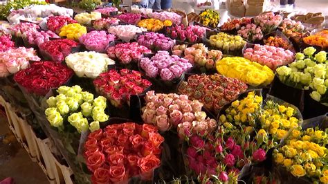 Kunming remains one of world's top flower markets - CGTN