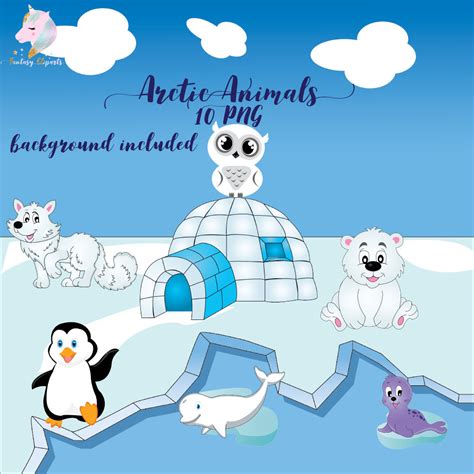 Arctic Animals Clipart ~ Illustrations ~ Creative Market