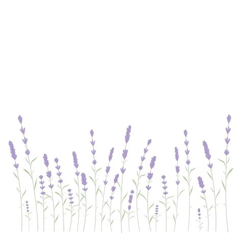 Premium Vector | Lavender card border vector. vintage label with ...