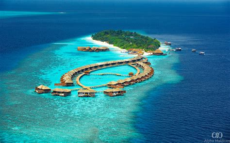 Maldives Holiday Packages - Alpha Maldives Blog