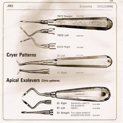 Essential Dental Surgical Instruments | Dental Clinics, Dentists ...