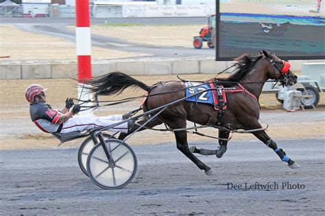 Many Horses Have Streaks On The Line As Harness Action Continues At Shenandoah Downs This ...