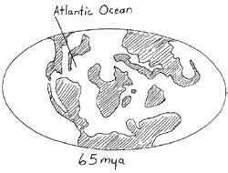 The Paleogene Period - Major Events, Climate, Plants and Animals