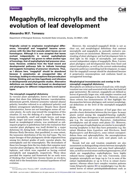 Megaphylls, Microphylls and the Evolution of Leaf Development - DocsLib