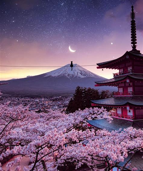 Cherry Blossom and Chureito Pagoda facing Mt. Fuji in Arakurayama Sengen Park, Fujiyoshida ...