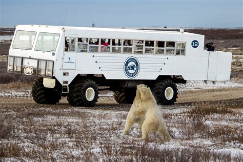 Tundra Buggy Lodge at Polar Bear Point Enthusiast | Discover North America