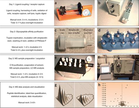 Individual steps of an LRC experiment.Once a sufficient amount of ...