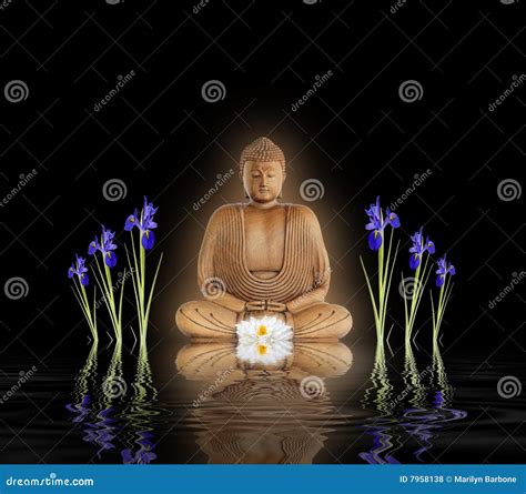 Buddha in Zen Garden stock photo. Image of black, growth - 7958138