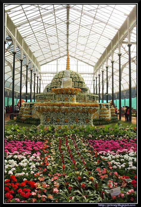 Prime Photos: Lalbagh Flower Show January 2012