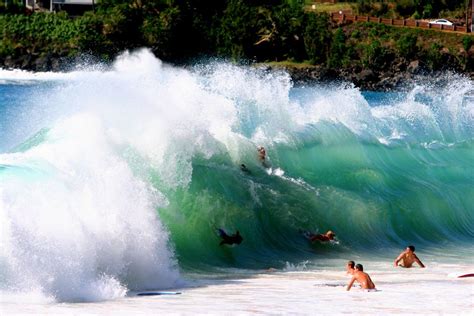 Waimea Shorebreak | SURFLINE.COM #waimea #hawaii #surfline | Surfing photos, Waimea bay, Waimea