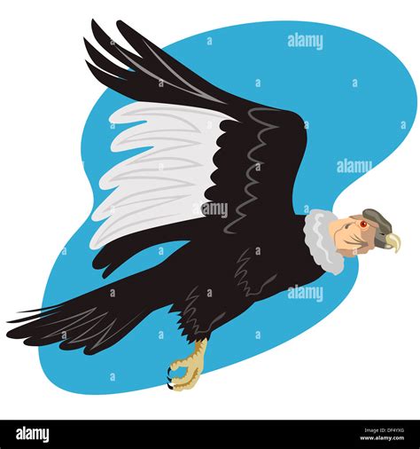 Illustration of a condor vulture in flight done in retro style on isolated white background ...