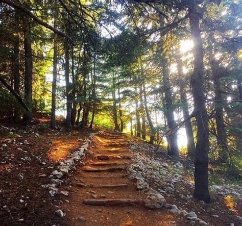 15+ Perfect Hiking Spots In Lebanon For When You Need To Get Away