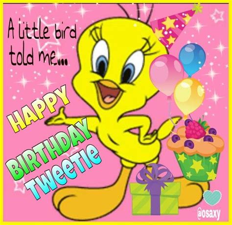 Happy Birthday Tweetie | Birthday humor, Bird birthday, Happy birthday