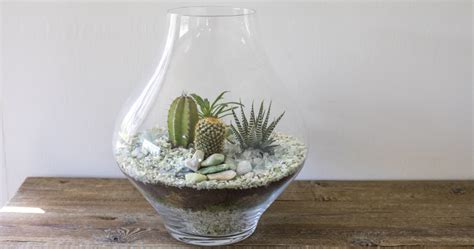 DIY: Make a Cactus Terrarium - The Perfect Size for Your Desk ...