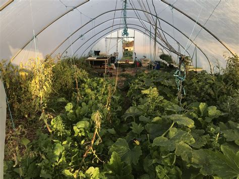 From Simple Polytunnel to SMART Greenhouse - ReFarmer.net