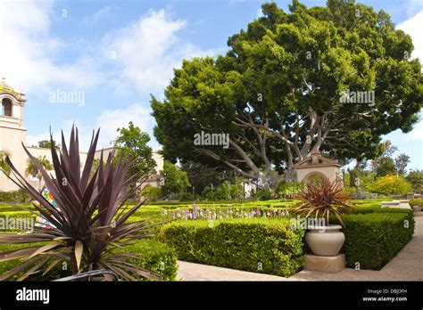 Balboa park gardens in San Diego California Stock Photo - Alamy