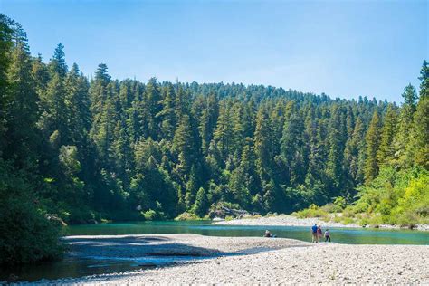 Jedediah Smith Redwoods State Park | State parks, Park, Redwood