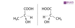Examples of Enantiomers - Detailed Explanation with FAQs