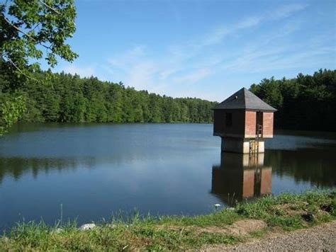 Watchable Wildlife: Clear Lake Wildlife Management Area, Erie County - New York Almanack