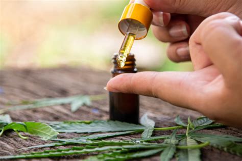 How to Use Cannabis Oil: 3 Ways - Buzz Delivery