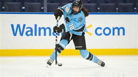 Buffalo Beauts' ownership group looks to stabilize women's hockey on ...