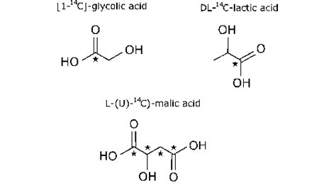 Structure of labeled alpha-hydroxy acids (glycolic acid, lactic acid,... | Download Scientific ...