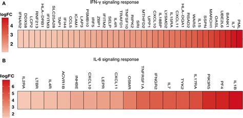 Transcriptome profiling of CD4+ T cells in peripheral blood mononuclear ...