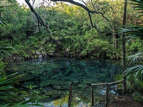 Cenote Naval - Lucasguiggi Century - Medium