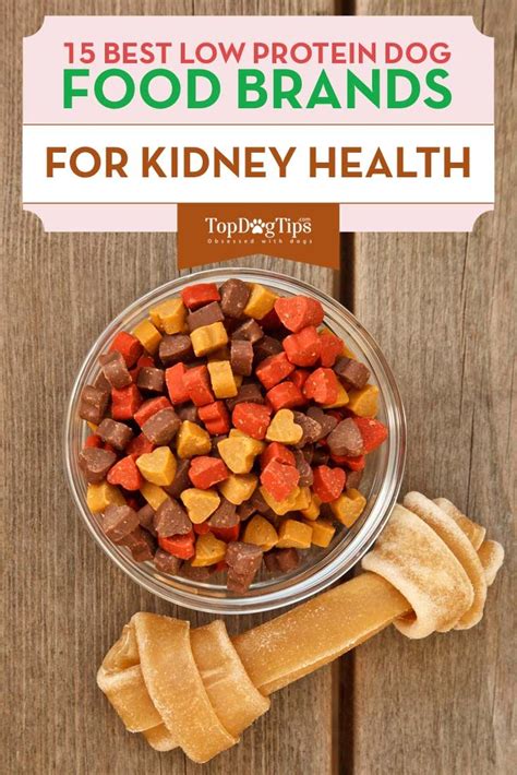 The Best Low Protein Dog Foods for Kidney, Liver Health | Low protein dog food, Healthy dog food ...