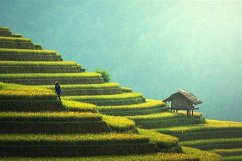 China Landscape Royalty-Free Stock Photo