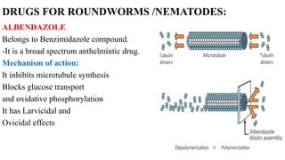 anthelmintic pharmacology Bs Nursing.pptx