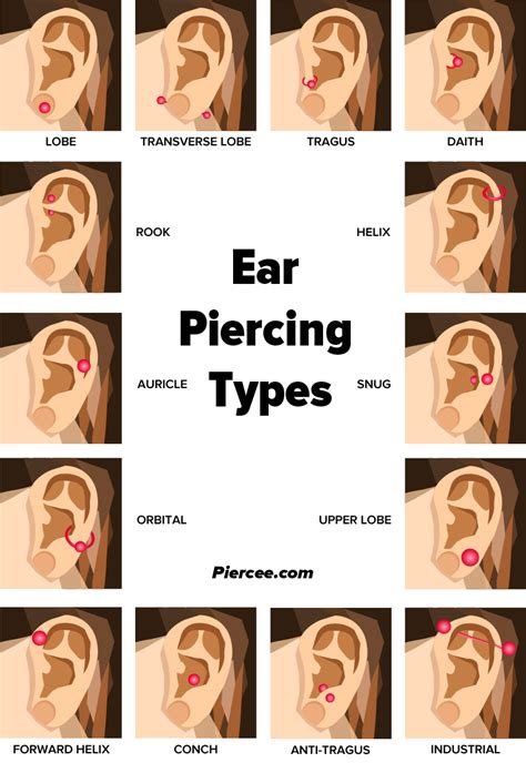 Ear Piercing Chart: 17 Types Explained (Pain Level, Price, Photo)