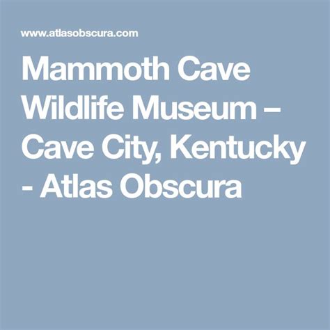 Mammoth Cave Wildlife Museum | Mammoth cave, Cave city, Mammoth