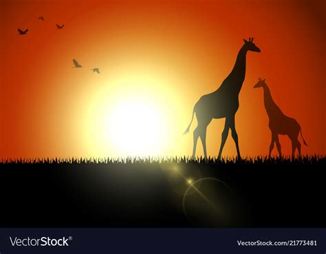 Giraffe Silhouette Sunset