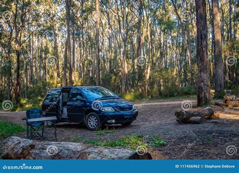 Camping in the Forest in Australia in Bunyip State Park Stock Photo - Image of camping ...