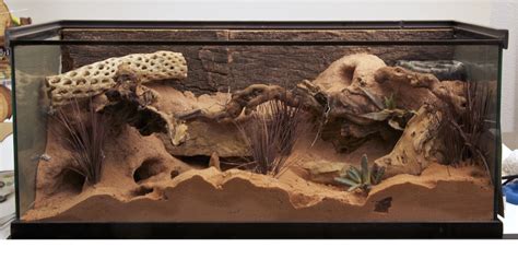 Zoo Med custom habitat with Excavator® Clay Burrowing Substrate. | Lizard terrarium, Reptile ...