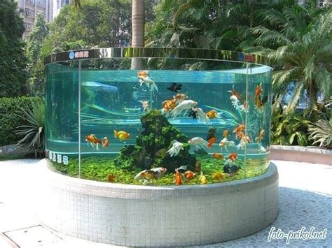 Aquarium. | Outdoor fish tank, Goldfish tank, Fish ponds